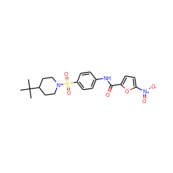 CC(C)(C)C1CCN(S(=O)(=O)c2ccc(NC(=O)c3ccc([N+](=O)[O-])o3)cc2)CC1 ZINC000198851880