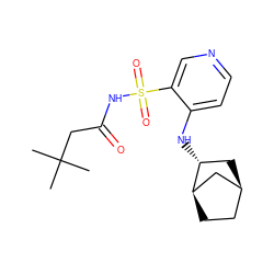 CC(C)(C)CC(=O)NS(=O)(=O)c1cnccc1N[C@@H]1C[C@H]2CC[C@@H]1C2 ZINC000071315921