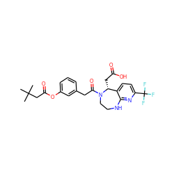 CC(C)(C)CC(=O)Oc1cccc(CC(=O)N2CCNc3nc(C(F)(F)F)ccc3[C@H]2CC(=O)O)c1 ZINC000299835631