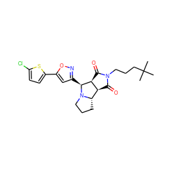 CC(C)(C)CCCN1C(=O)[C@H]2[C@@H](C1=O)[C@@H]1CCCN1[C@H]2c1cc(-c2ccc(Cl)s2)on1 ZINC000059062196