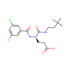 CC(C)(C)CCNC(=O)[C@@H](CCC(=O)O)NC(=O)c1cc(Cl)cc(Cl)c1 ZINC000001544885