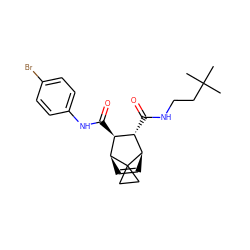 CC(C)(C)CCNC(=O)[C@H]1[C@H](C(=O)Nc2ccc(Br)cc2)[C@@H]2C=C[C@H]1C21CC1 ZINC000168390435