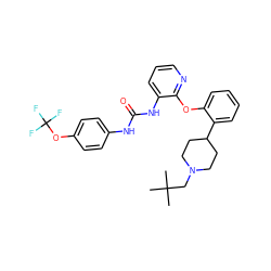 CC(C)(C)CN1CCC(c2ccccc2Oc2ncccc2NC(=O)Nc2ccc(OC(F)(F)F)cc2)CC1 ZINC000103239116