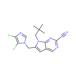 CC(C)(C)Cn1c(Cn2cnc(Cl)c2Cl)cc2cnc(C#N)nc21 ZINC000028958247