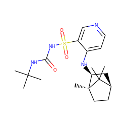 CC(C)(C)NC(=O)NS(=O)(=O)c1cnccc1N[C@H]1C[C@H]2CC[C@]1(C)C2(C)C ZINC000071318882