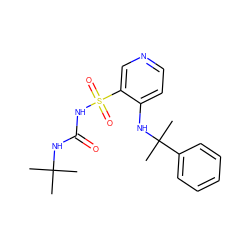 CC(C)(C)NC(=O)NS(=O)(=O)c1cnccc1NC(C)(C)c1ccccc1 ZINC000071330896