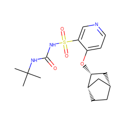 CC(C)(C)NC(=O)NS(=O)(=O)c1cnccc1O[C@@H]1C[C@@H]2CC[C@H]1C2 ZINC000071318858