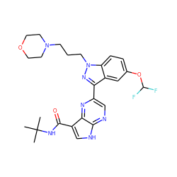 CC(C)(C)NC(=O)c1c[nH]c2ncc(-c3nn(CCCN4CCOCC4)c4ccc(OC(F)F)cc34)nc12 ZINC000095604944