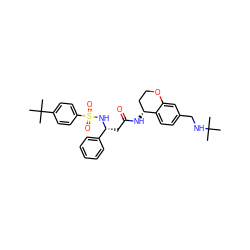CC(C)(C)NCc1ccc2c(c1)OCC[C@H]2NC(=O)C[C@@H](NS(=O)(=O)c1ccc(C(C)(C)C)cc1)c1ccccc1 ZINC000028644251