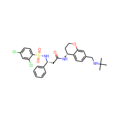 CC(C)(C)NCc1ccc2c(c1)OCC[C@H]2NC(=O)C[C@@H](NS(=O)(=O)c1ccc(Cl)cc1Cl)c1ccccc1 ZINC000028644581