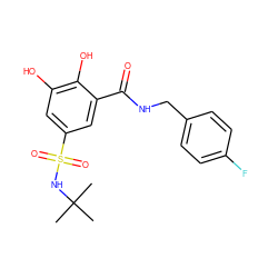 CC(C)(C)NS(=O)(=O)c1cc(O)c(O)c(C(=O)NCc2ccc(F)cc2)c1 ZINC000072111980