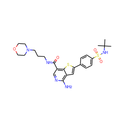 CC(C)(C)NS(=O)(=O)c1ccc(-c2cc3c(N)ncc(C(=O)NCCCN4CCOCC4)c3s2)cc1 ZINC000082158473