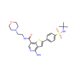 CC(C)(C)NS(=O)(=O)c1ccc(-c2cc3c(N)ncc(C(=O)NCCN4CCOCC4)c3s2)cc1 ZINC000073240471