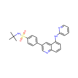 CC(C)(C)NS(=O)(=O)c1ccc(-c2cnc3cccc(Nc4ccccn4)c3c2)cc1 ZINC000016052735