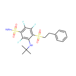 CC(C)(C)Nc1c(F)c(S(N)(=O)=O)c(F)c(F)c1S(=O)(=O)CCc1ccccc1 ZINC000209031135