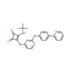 CC(C)(C)Nc1c(Nc2ccnc(Nc3ccc(-c4ccccn4)cc3)n2)c(=O)c1=O ZINC000101595788