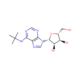 CC(C)(C)Nc1ncnc2c1ncn2[C@@H]1O[C@H](CO)[C@@H](O)[C@H]1O ZINC000013782063