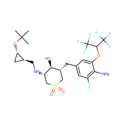 CC(C)(C)O[C@H]1C[C@@H]1CN[C@H]1CS(=O)(=O)C[C@@H](Cc2cc(F)c(N)c(OC(C(F)(F)F)C(F)(F)F)c2)[C@@H]1O ZINC000084652857