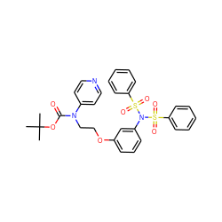 CC(C)(C)OC(=O)N(CCOc1cccc(N(S(=O)(=O)c2ccccc2)S(=O)(=O)c2ccccc2)c1)c1ccncc1 ZINC000028758664