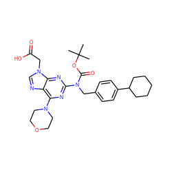 CC(C)(C)OC(=O)N(Cc1ccc(C2CCCCC2)cc1)c1nc(N2CCOCC2)c2ncn(CC(=O)O)c2n1 ZINC000066066363