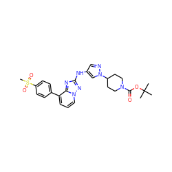 CC(C)(C)OC(=O)N1CCC(n2cc(Nc3nc4c(-c5ccc(S(C)(=O)=O)cc5)cccn4n3)cn2)CC1 ZINC000148177473