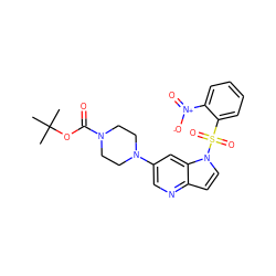 CC(C)(C)OC(=O)N1CCN(c2cnc3ccn(S(=O)(=O)c4ccccc4[N+](=O)[O-])c3c2)CC1 ZINC000043060003