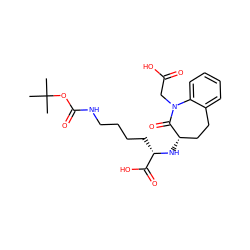 CC(C)(C)OC(=O)NCCCC[C@H](N[C@H]1CCc2ccccc2N(CC(=O)O)C1=O)C(=O)O ZINC000029347696