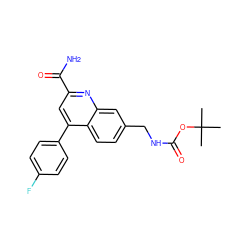 CC(C)(C)OC(=O)NCc1ccc2c(-c3ccc(F)cc3)cc(C(N)=O)nc2c1 ZINC000205631124