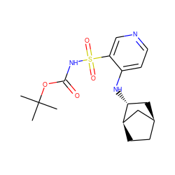 CC(C)(C)OC(=O)NS(=O)(=O)c1cnccc1N[C@@H]1C[C@H]2CC[C@@H]1C2 ZINC000071315998