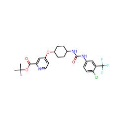 CC(C)(C)OC(=O)c1cc(OC2CCC(NC(=O)Nc3ccc(Cl)c(C(F)(F)F)c3)CC2)ccn1 ZINC000202070036