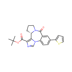 CC(C)(C)OC(=O)c1ncn2c1[C@@H]1CCCN1C(=O)c1cc(-c3cccs3)ccc1-2 ZINC000098085591