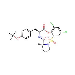 CC(C)(C)Oc1ccc(C[C@H](NC(=O)[C@]2(C)CCCN2S(=O)(=O)c2cc(Cl)cc(Cl)c2)C(=O)O)cc1 ZINC000029393459