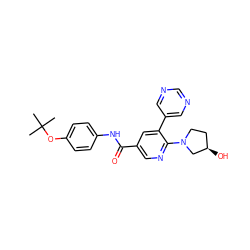 CC(C)(C)Oc1ccc(NC(=O)c2cnc(N3CC[C@@H](O)C3)c(-c3cncnc3)c2)cc1 ZINC000224413159