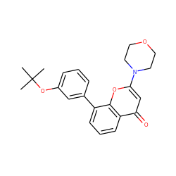 CC(C)(C)Oc1cccc(-c2cccc3c(=O)cc(N4CCOCC4)oc23)c1 ZINC000028562840