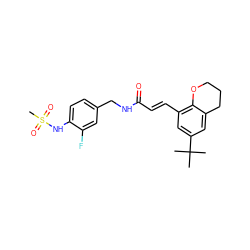 CC(C)(C)c1cc(/C=C/C(=O)NCc2ccc(NS(C)(=O)=O)c(F)c2)c2c(c1)CCCO2 ZINC000040879548