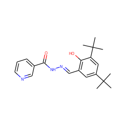 CC(C)(C)c1cc(/C=N/NC(=O)c2cccnc2)c(O)c(C(C)(C)C)c1 ZINC000005726699