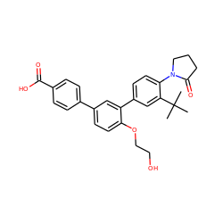 CC(C)(C)c1cc(-c2cc(-c3ccc(C(=O)O)cc3)ccc2OCCO)ccc1N1CCCC1=O ZINC000035974402