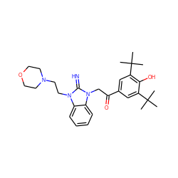 CC(C)(C)c1cc(C(=O)Cn2c(=N)n(CCN3CCOCC3)c3ccccc32)cc(C(C)(C)C)c1O ZINC000019733192