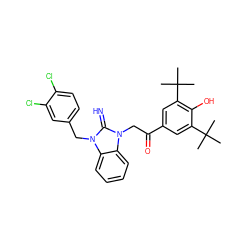 CC(C)(C)c1cc(C(=O)Cn2c(=N)n(Cc3ccc(Cl)c(Cl)c3)c3ccccc32)cc(C(C)(C)C)c1O ZINC000026720402