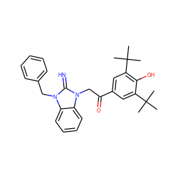 CC(C)(C)c1cc(C(=O)Cn2c(=N)n(Cc3ccccc3)c3ccccc32)cc(C(C)(C)C)c1O ZINC000019733328