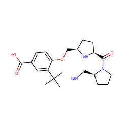 CC(C)(C)c1cc(C(=O)O)ccc1OC[C@H]1CC[C@@H](C(=O)N2CCC[C@H]2CN)N1 ZINC000024802897