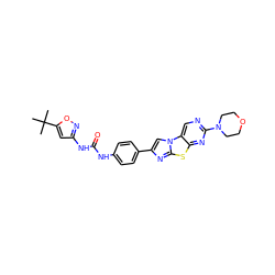 CC(C)(C)c1cc(NC(=O)Nc2ccc(-c3cn4c(n3)sc3nc(N5CCOCC5)ncc34)cc2)no1 ZINC000148915634