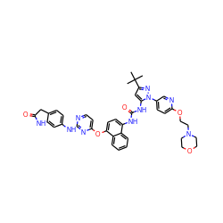 CC(C)(C)c1cc(NC(=O)Nc2ccc(Oc3ccnc(Nc4ccc5c(c4)NC(=O)C5)n3)c3ccccc23)n(-c2ccc(OCCN3CCOCC3)nc2)n1 ZINC000211108738