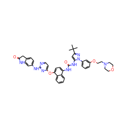 CC(C)(C)c1cc(NC(=O)Nc2ccc(Oc3ccnc(Nc4ccc5c(c4)NC(=O)C5)n3)c3ccccc23)n(-c2cccc(OCCN3CCOCC3)c2)n1 ZINC000211047393