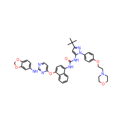 CC(C)(C)c1cc(NC(=O)Nc2ccc(Oc3ccnc(Nc4ccc5c(c4)OCO5)n3)c3ccccc23)n(-c2ccc(OCCN3CCOCC3)cc2)n1 ZINC000211069935