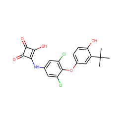 CC(C)(C)c1cc(Oc2c(Cl)cc(Nc3c(O)c(=O)c3=O)cc2Cl)ccc1O ZINC000101180090