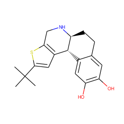 CC(C)(C)c1cc2c(s1)CN[C@H]1CCc3cc(O)c(O)cc3[C@H]21 ZINC000001539971