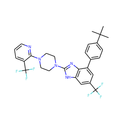 CC(C)(C)c1ccc(-c2cc(C(F)(F)F)cc3[nH]c(N4CCN(c5ncccc5C(F)(F)F)CC4)nc23)cc1 ZINC000038157644