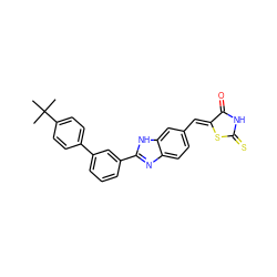 CC(C)(C)c1ccc(-c2cccc(-c3nc4ccc(/C=C5\SC(=S)NC5=O)cc4[nH]3)c2)cc1 ZINC000028570494