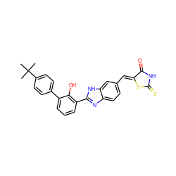 CC(C)(C)c1ccc(-c2cccc(-c3nc4ccc(/C=C5\SC(=S)NC5=O)cc4[nH]3)c2O)cc1 ZINC000028569580